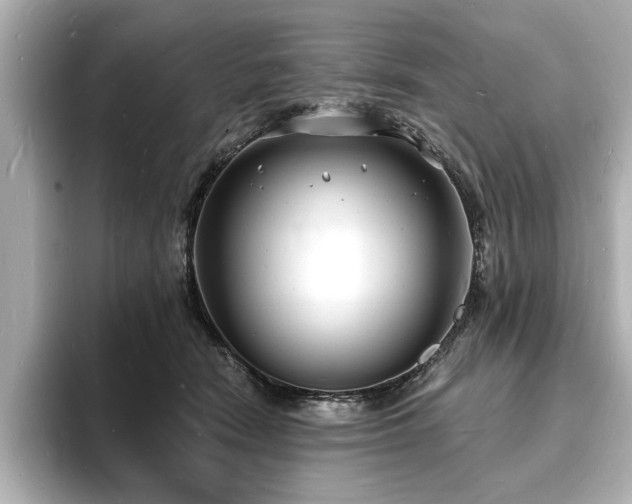 X0000093600466200710151224