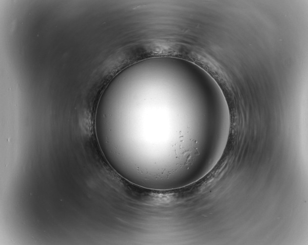 X0000093600469200710151224