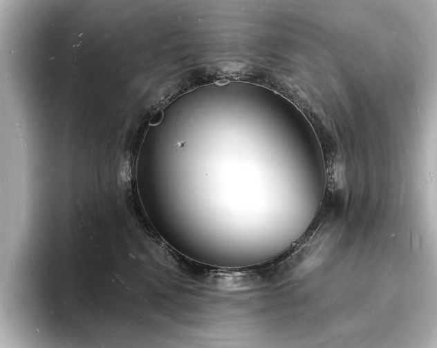 X0000093600472200710151224