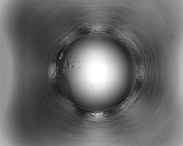 X0000093600478200710151224