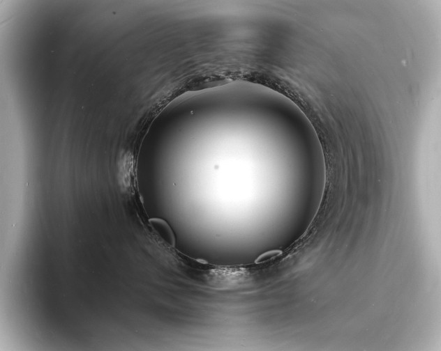 X0000093600480200710151224
