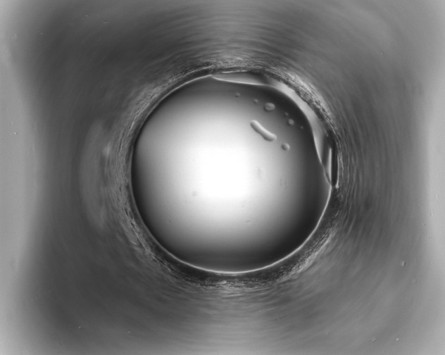 X0000093600481200710151224