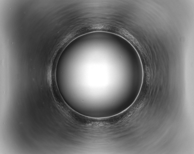 X0000093600482200710151223