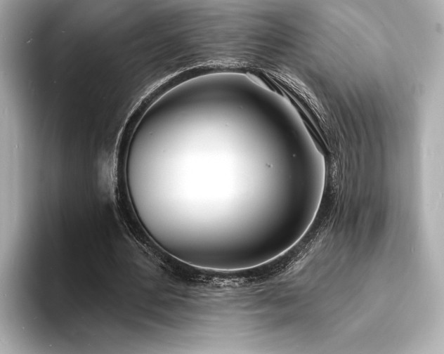 X0000093600484200710151223
