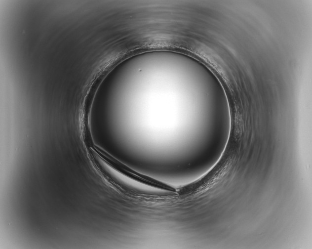 X0000093600485200710151223