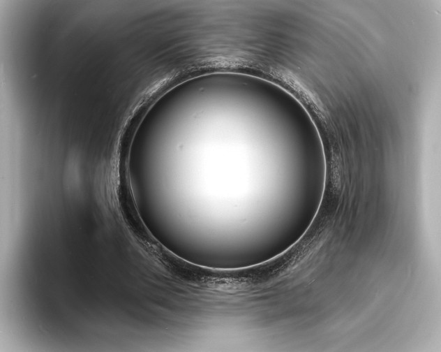 X0000093600486200710151223
