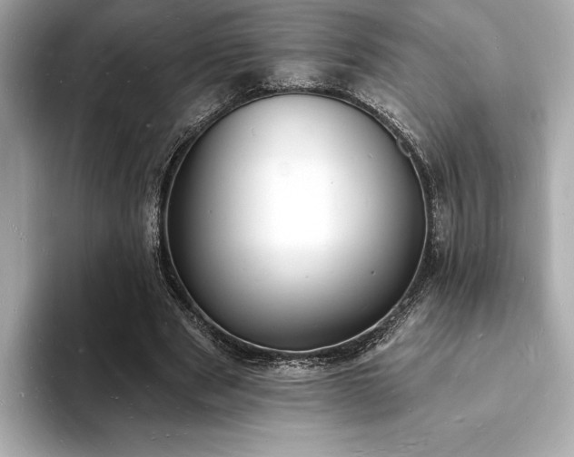 X0000093600489200710151223