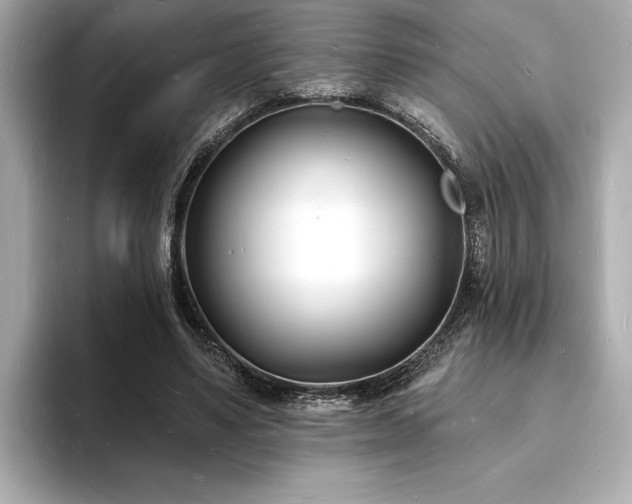 X0000093600491200710151223