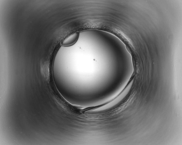 X0000093600493200710151223