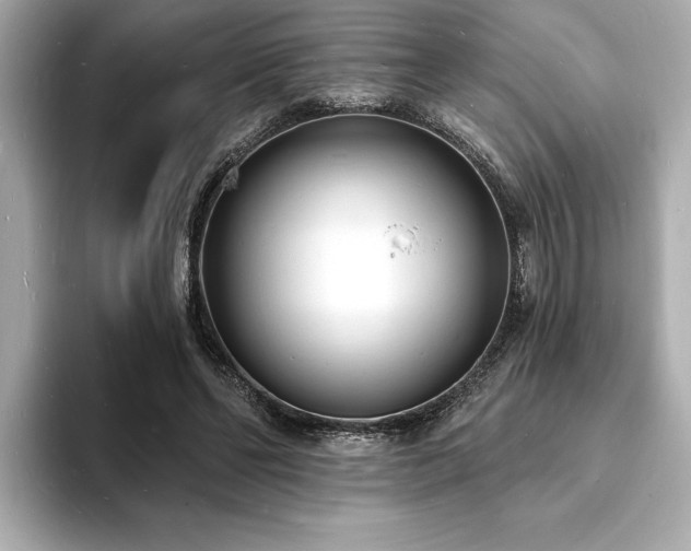X0000093600494200710151223
