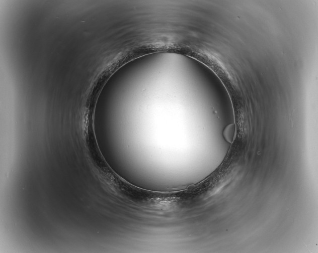 X0000093600495200710151223