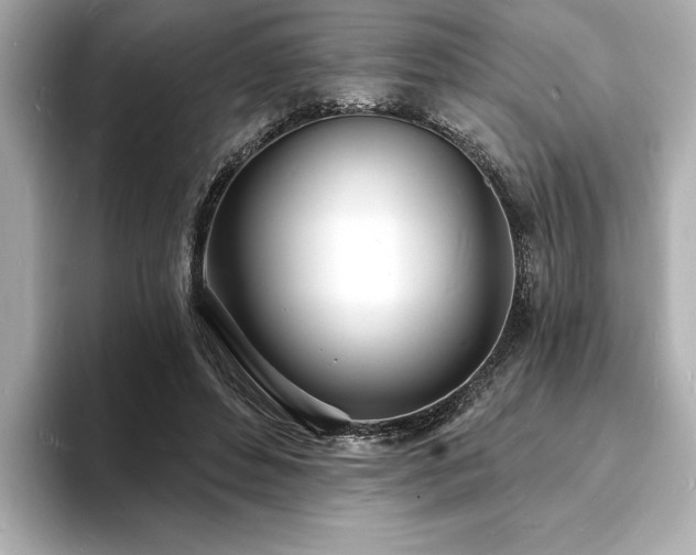 X0000093600496200710151223