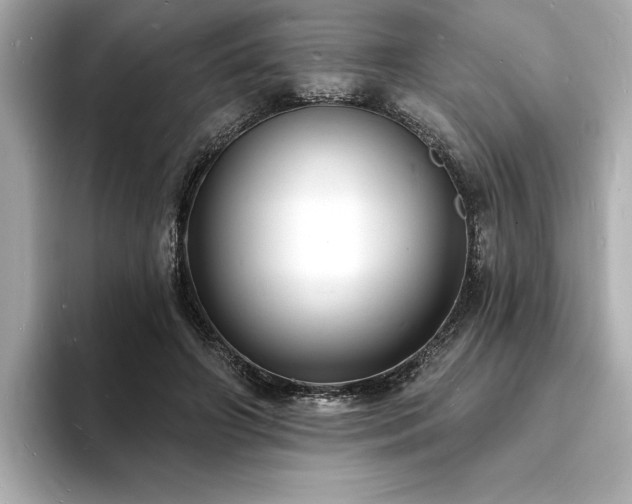 X0000093600498200710151223