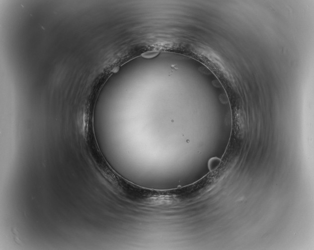 X0000093600499200710151223
