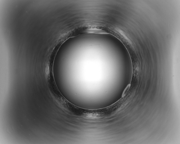 X0000093600500200710151223