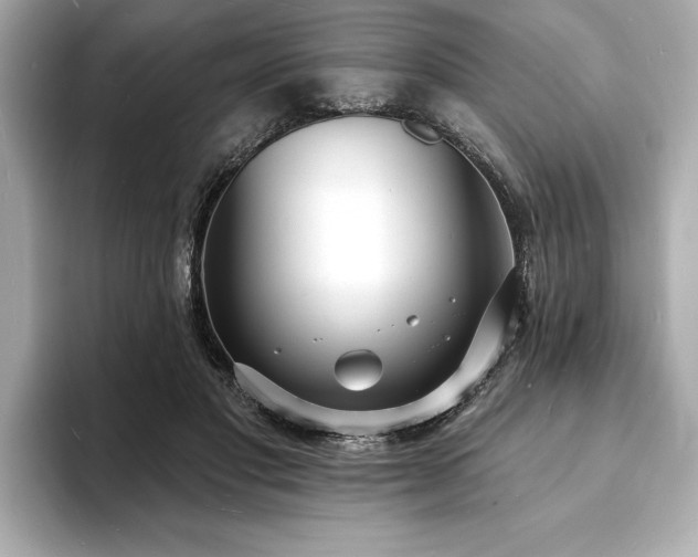 X0000093600501200710151223