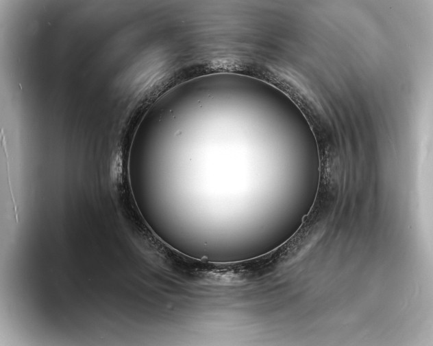 X0000093600502200710151223