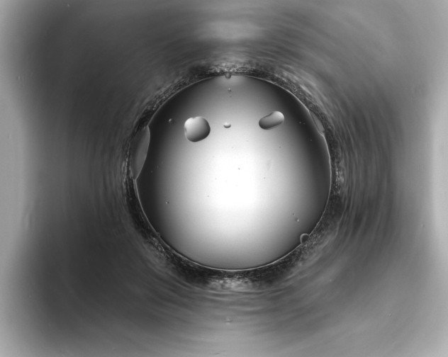 X0000093600503200710151223