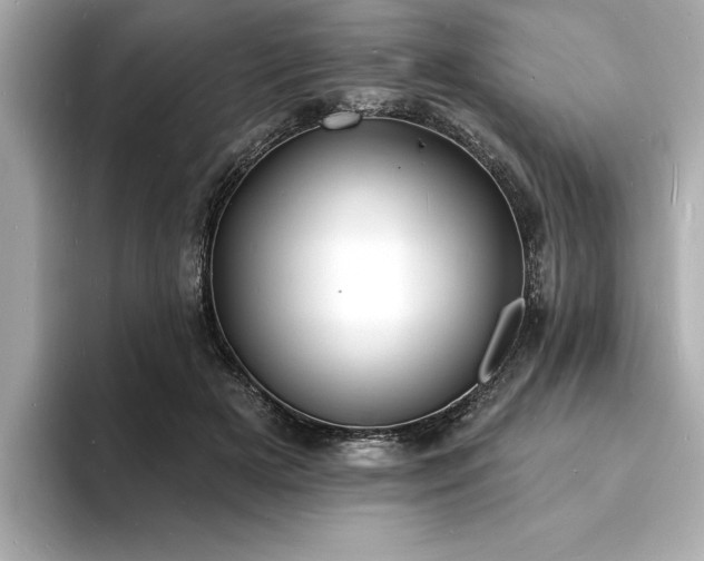 X0000093600505200710151223
