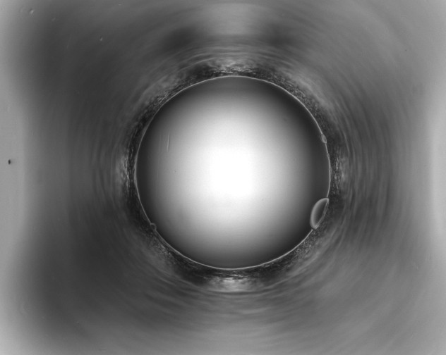 X0000093600506200710151223