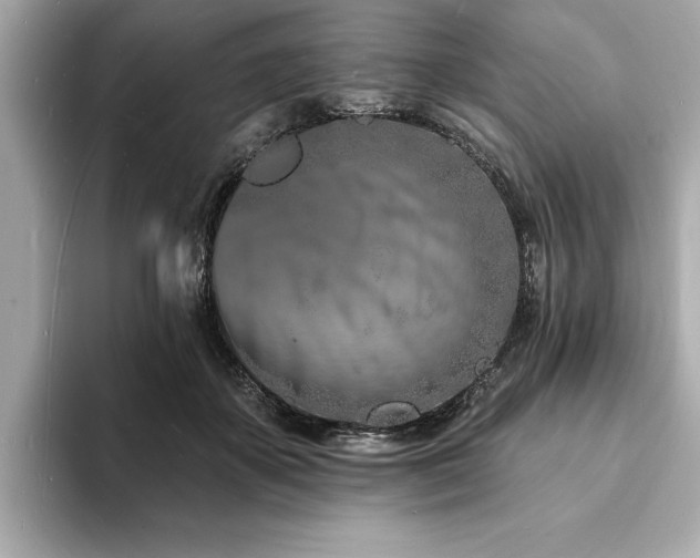 X0000093600507200710151223