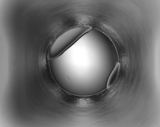 X0000093600508200710151223