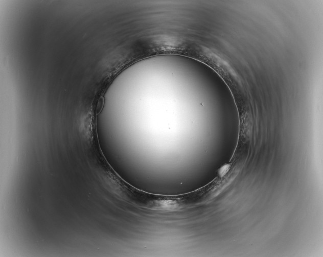 X0000093600509200710151223