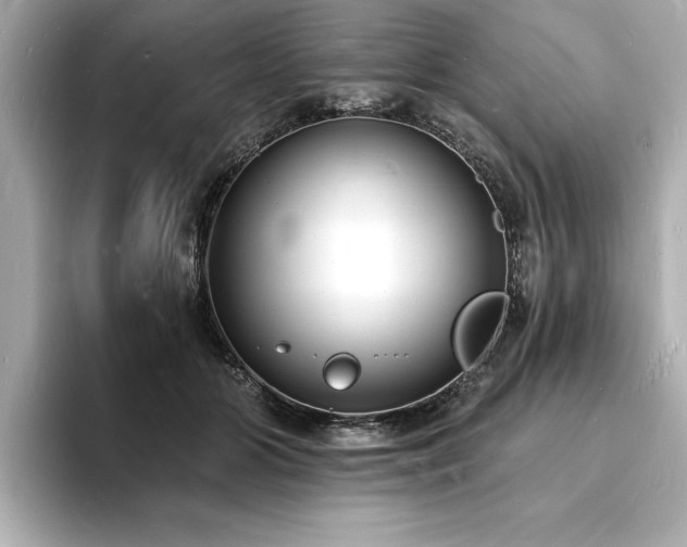 X0000093600510200710151223