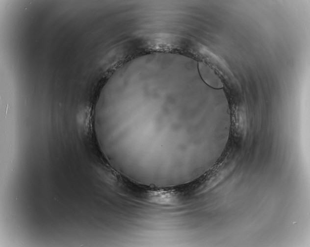 X0000093600511200710151223
