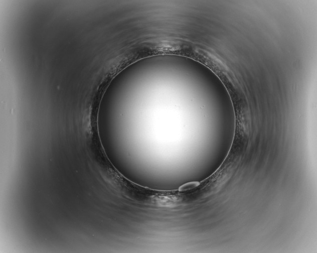 X0000093600512200710151223