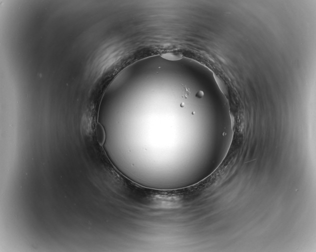 X0000093600515200710151223
