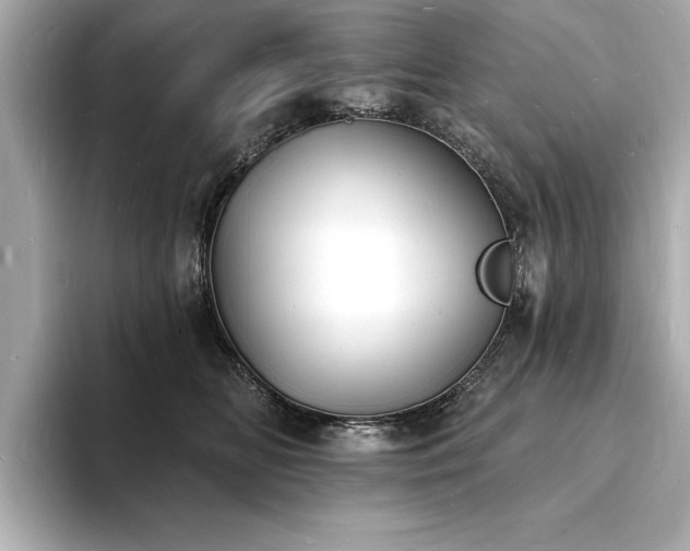 X0000093600518200710151223