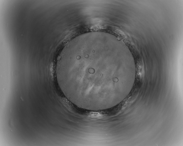 X0000093600519200710151223