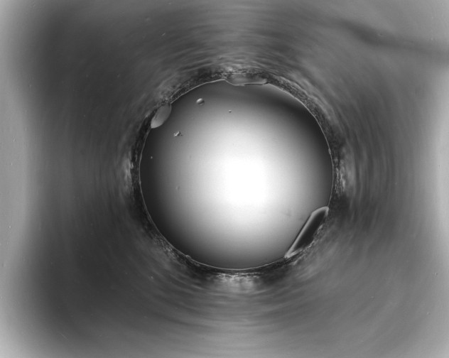 X0000093600520200710151223