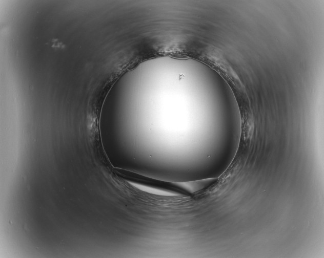 X0000093600521200710151223