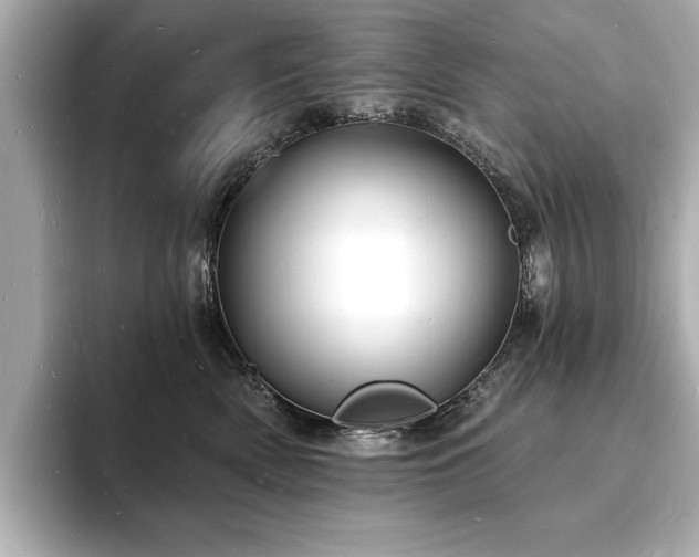 X0000093600522200710151223