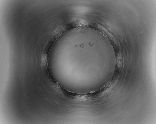 X0000093600523200710151223
