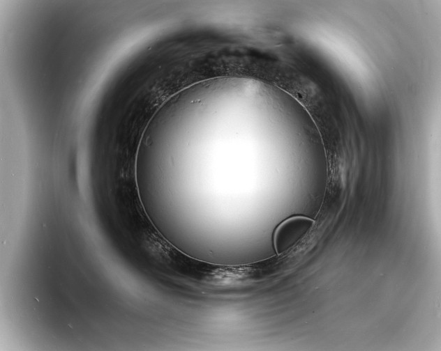 X0000093600526200710151223