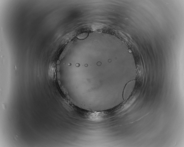 X0000093600527200710151223