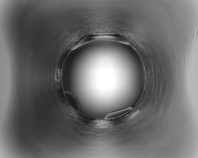X0000093600528200710151223