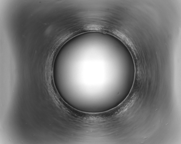 X0000093600529200710151222