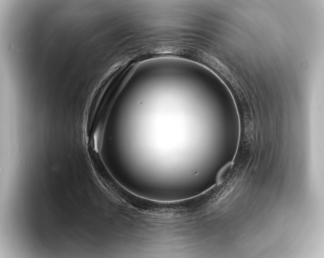 X0000093600530200710151222