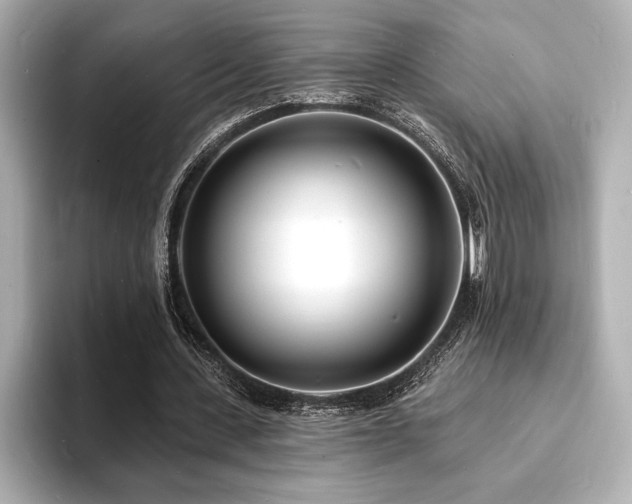 X0000093600531200710151222