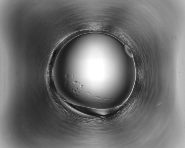 X0000093600532200710151222