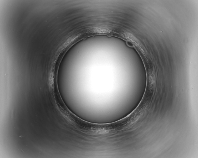 X0000093600533200710151222