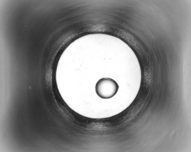 X0000093600534200710151222