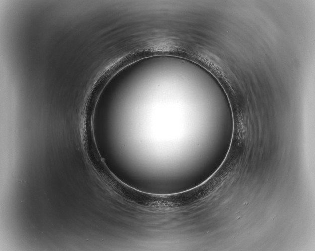 X0000093600535200710151222