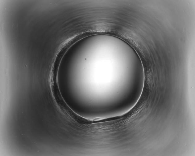X0000093600536200710151222