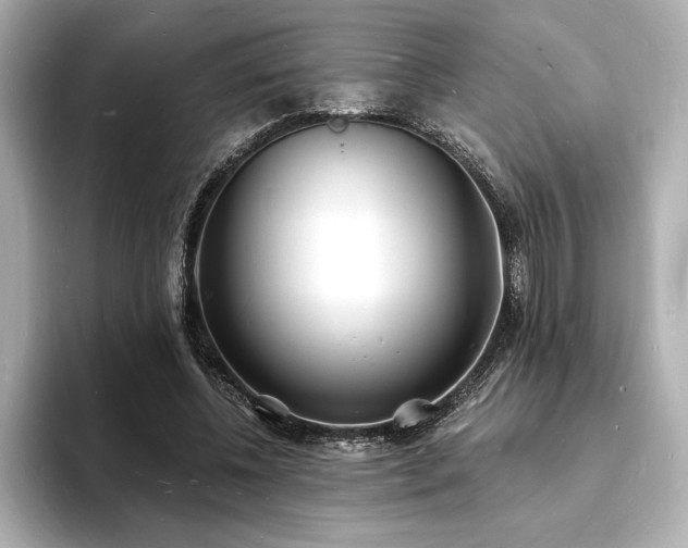 X0000093600540200710151223