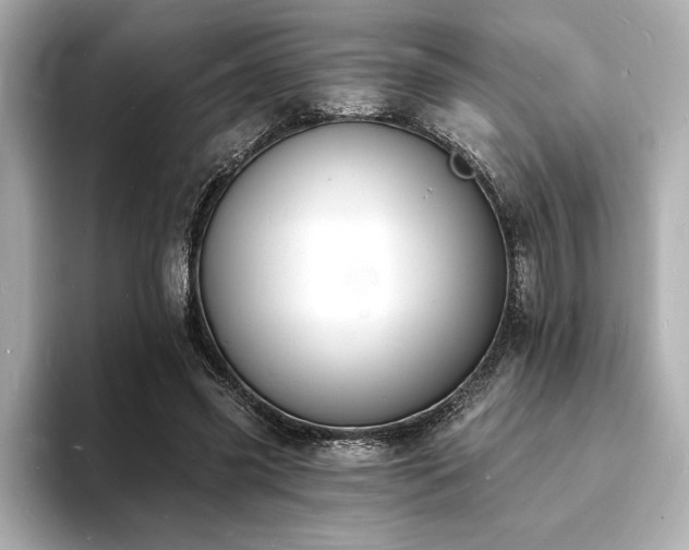 X0000093600541200710151223